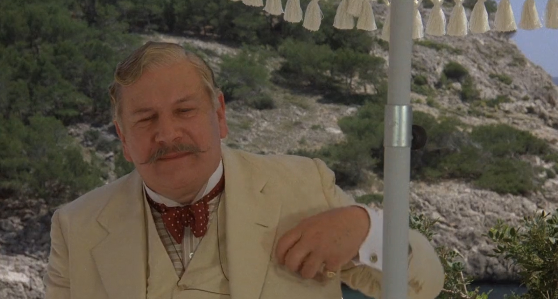 Peter Ustinov as Hercule Poirot 7